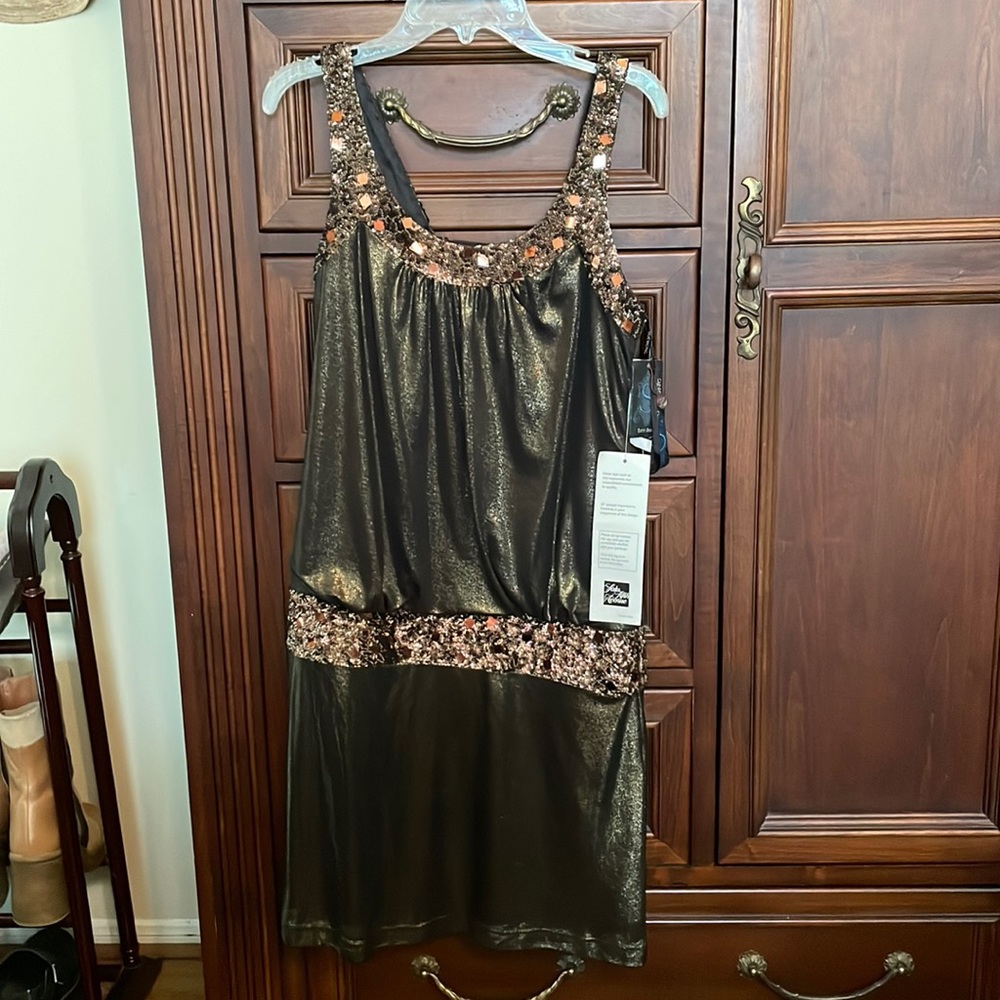 NWT shimmer dress from Saks. Backless!!